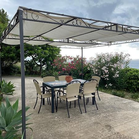 Casa vacanze Piedigrotta Villa Pizzo  Esterno foto