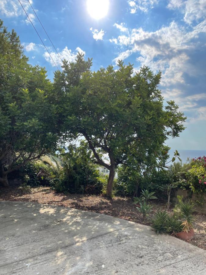 Casa vacanze Piedigrotta Villa Pizzo  Esterno foto